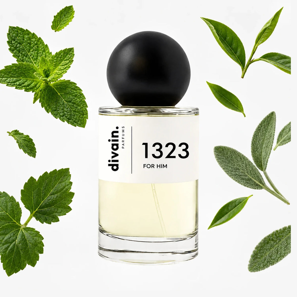 divain.1323