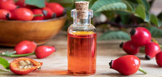 Discover the properties of rosehip oil