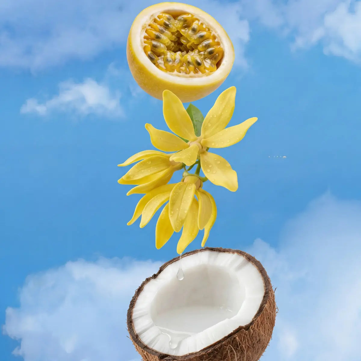 divain.1104 fragrance notes: passion fruit; ylang-ylang; cream and coconut