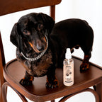 Wild Paws Pet fragrance