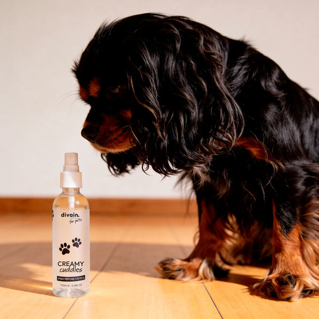 Creamy Cuddles Pet fragrance