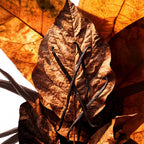 Spiced Soul Pet fragrance