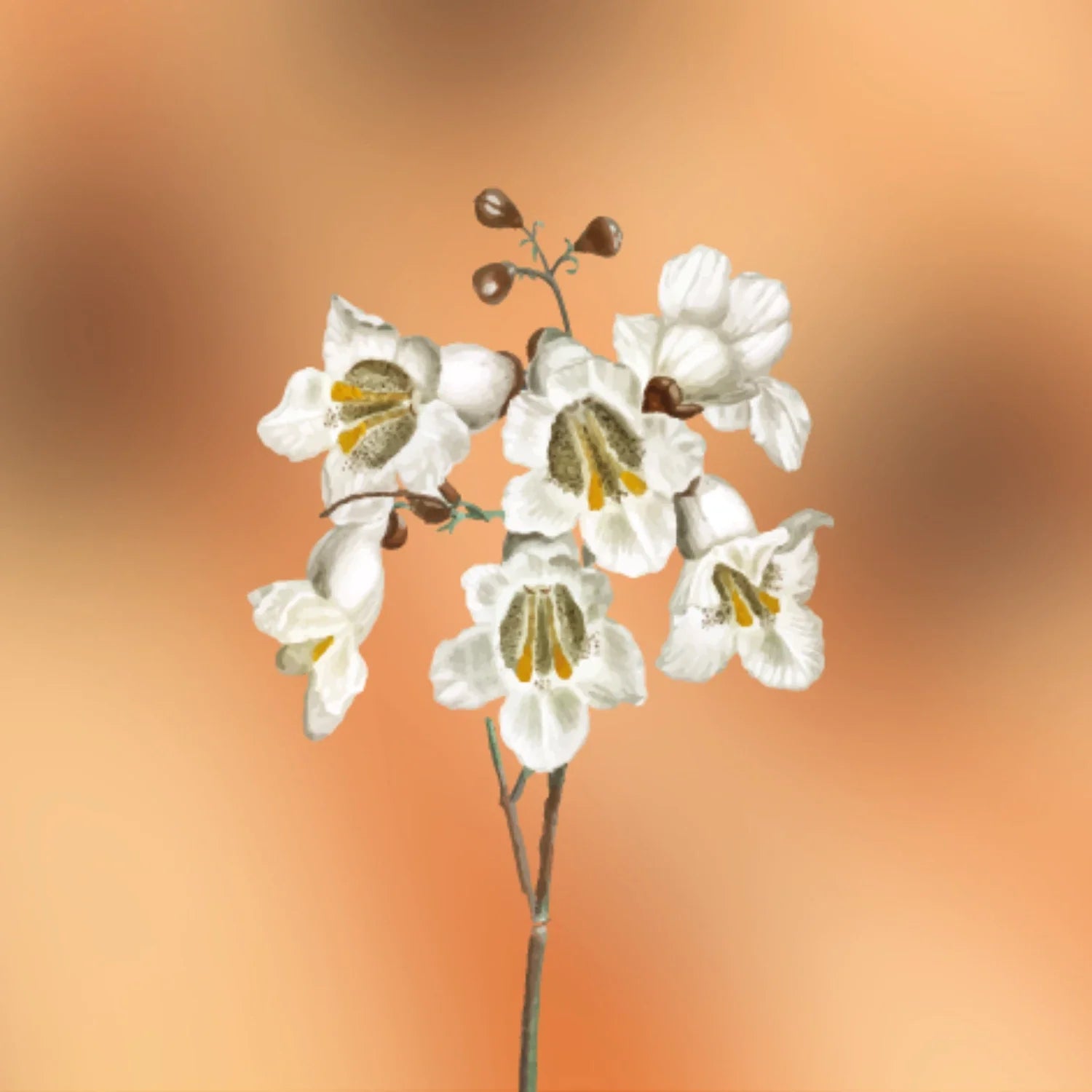 Gourmand Fragrance Primer | divain