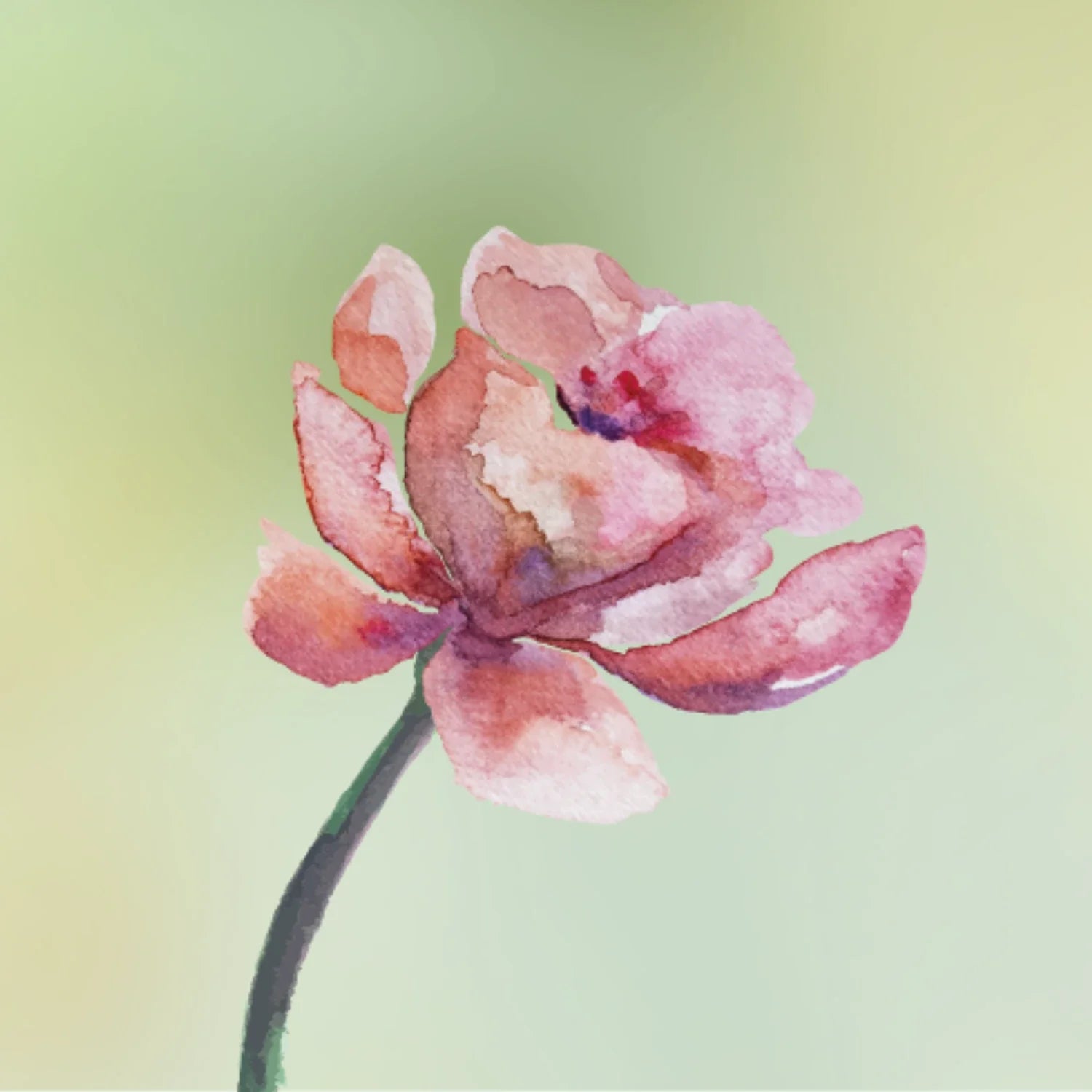 Floral Fragrance Primer | divain