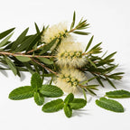 Vital Body Oil