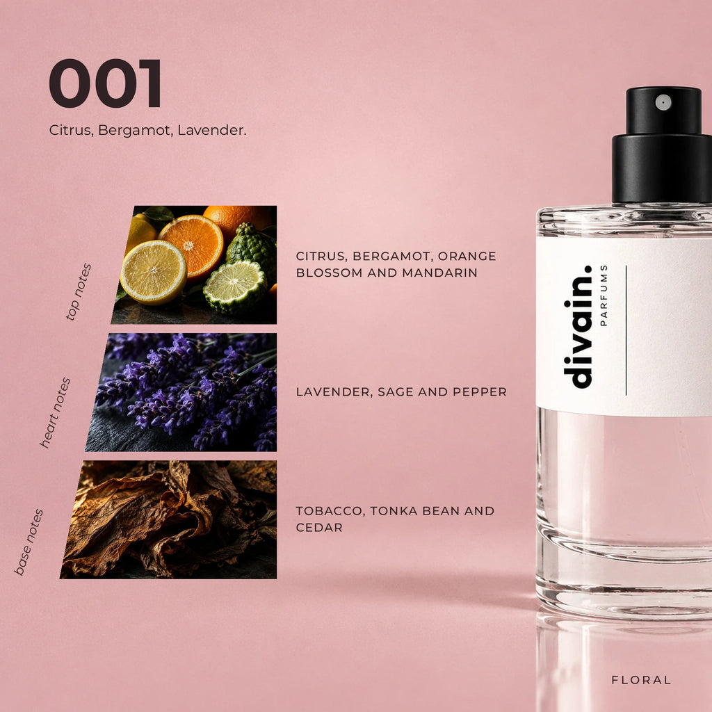 divain.001 fragrance pyramid