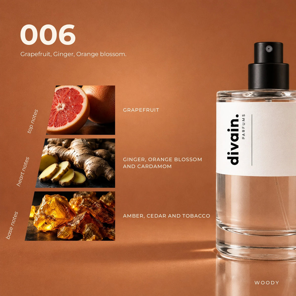divain.006 fragrance pyramid