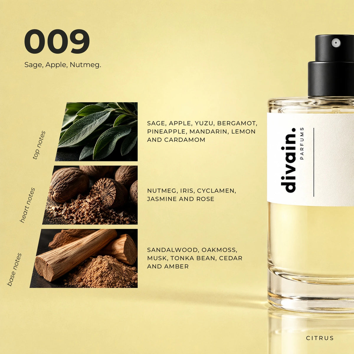 divain.009 fragrance pyramid