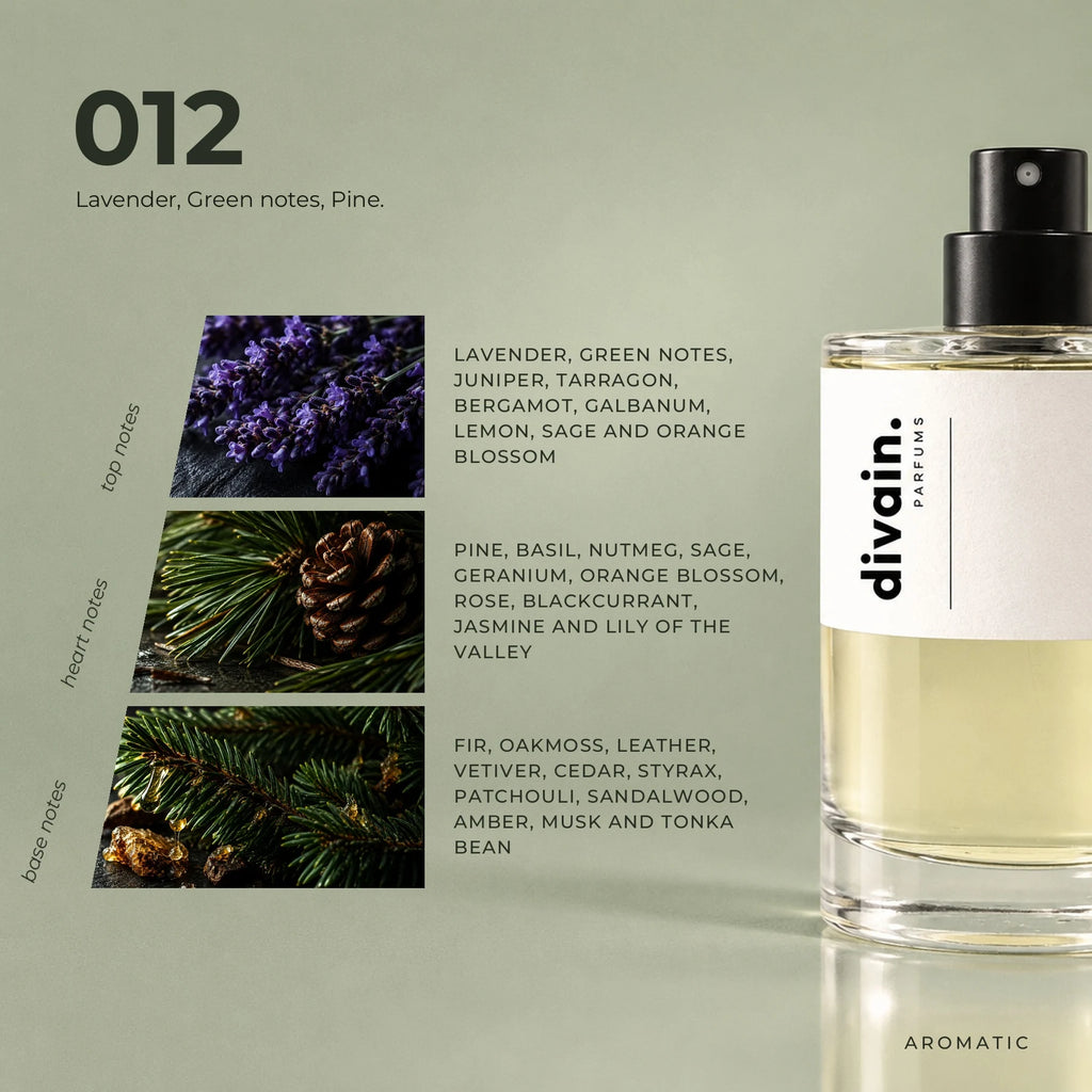 divain.012 fragrance pyramid