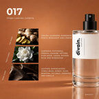 divain.017 fragrance pyramid