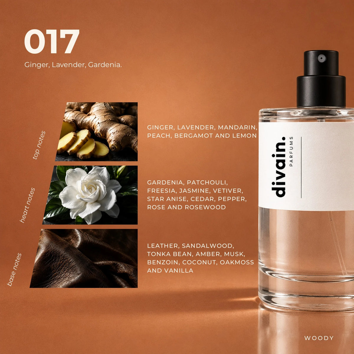 divain.017 fragrance pyramid