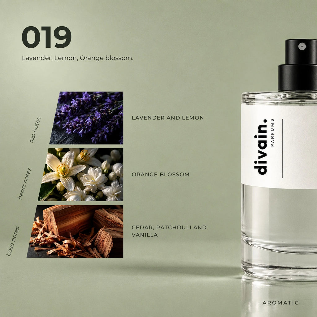 divain.019 fragrance pyramid
