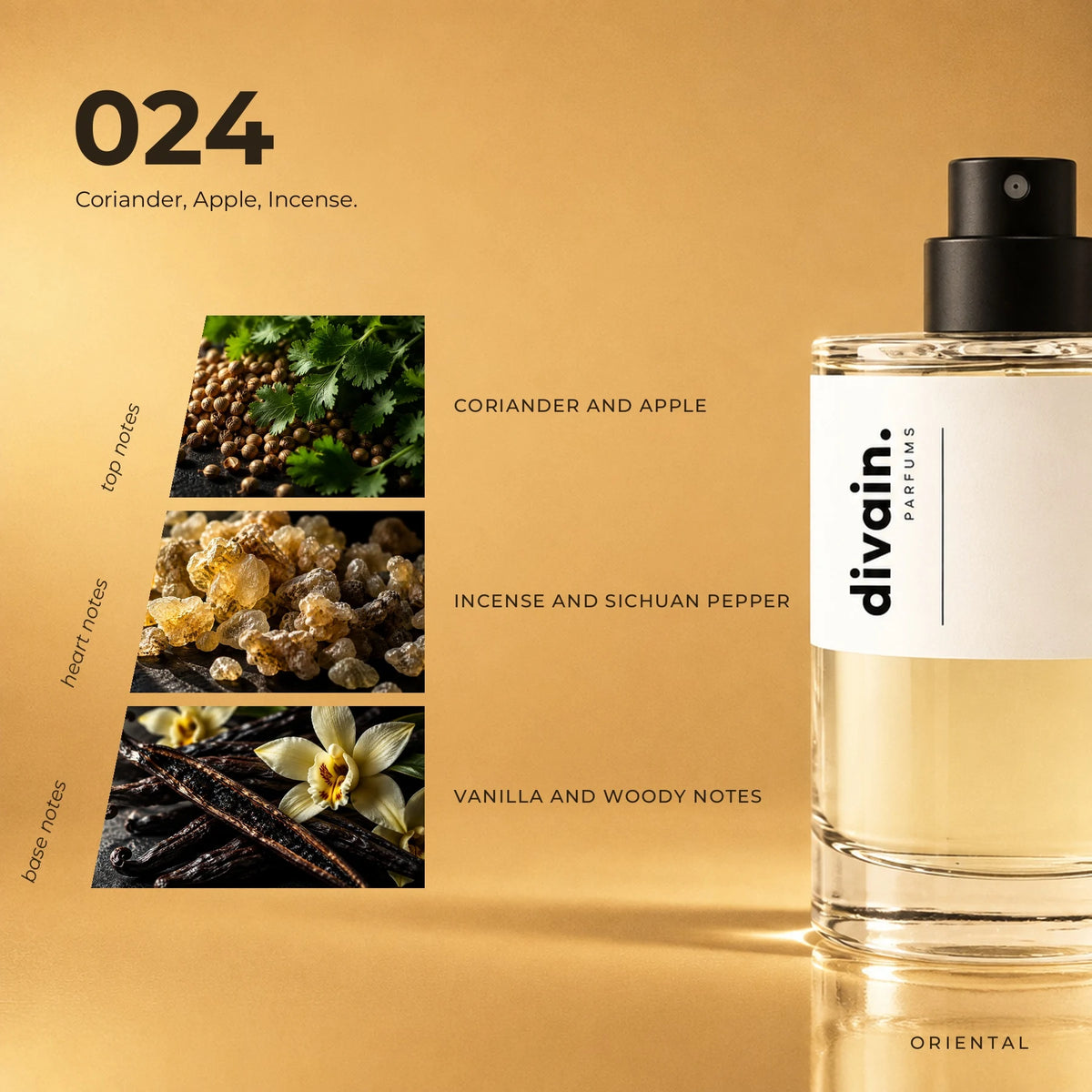 divain.024 fragrance pyramid
