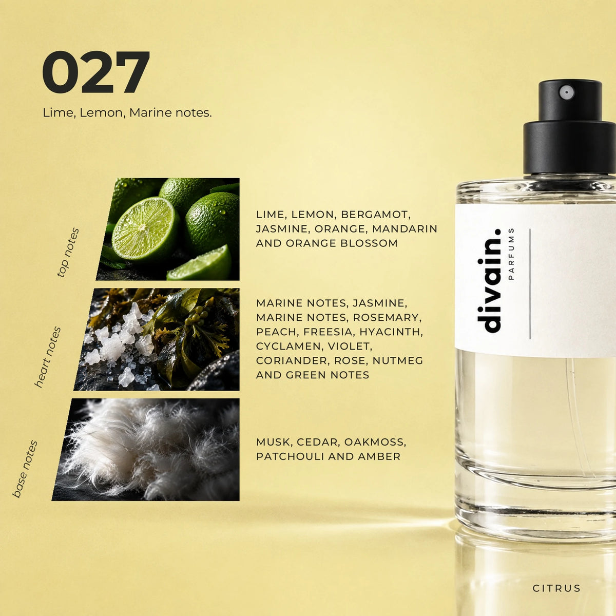 divain.027 fragrance pyramid