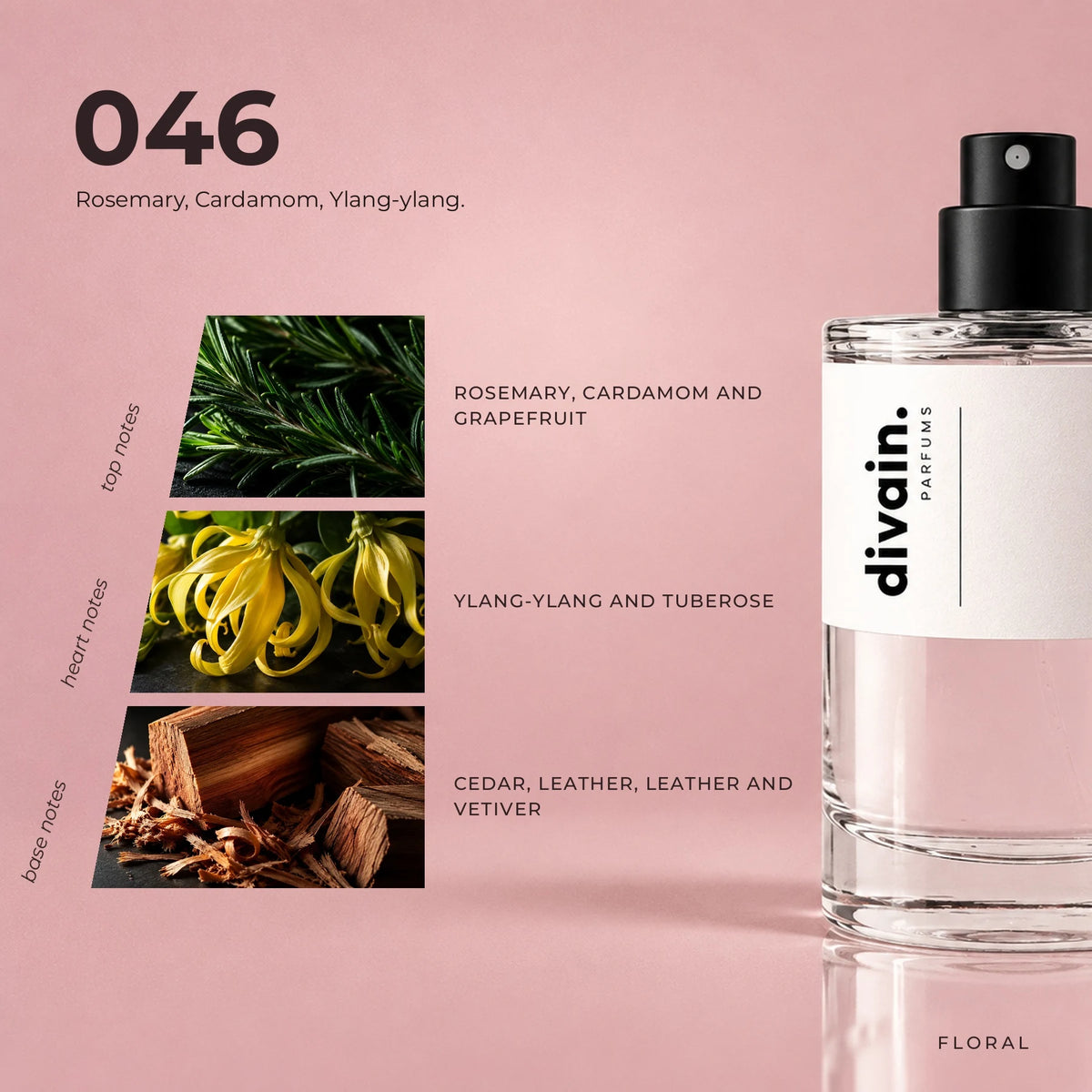 divain.046 fragrance pyramid