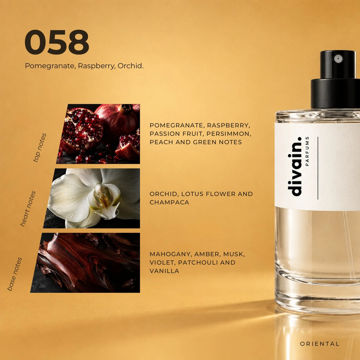 divain.058 fragrance pyramid