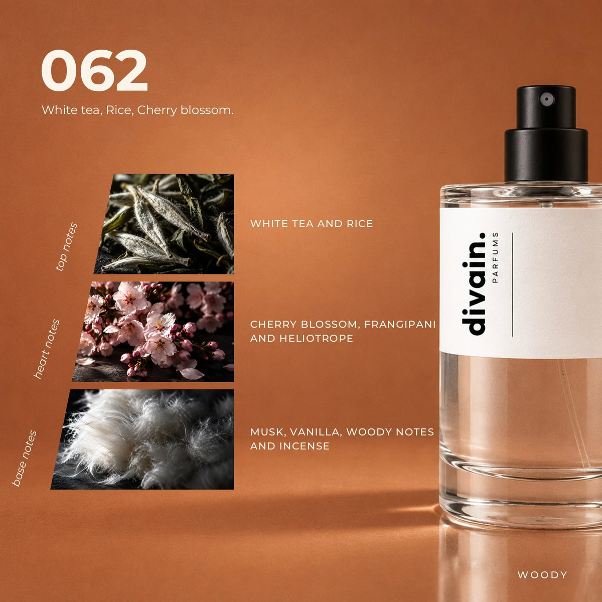 divain.062 fragrance pyramid