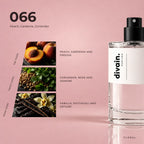 divain.066 fragrance pyramid