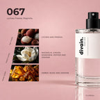 divain.067 fragrance pyramid