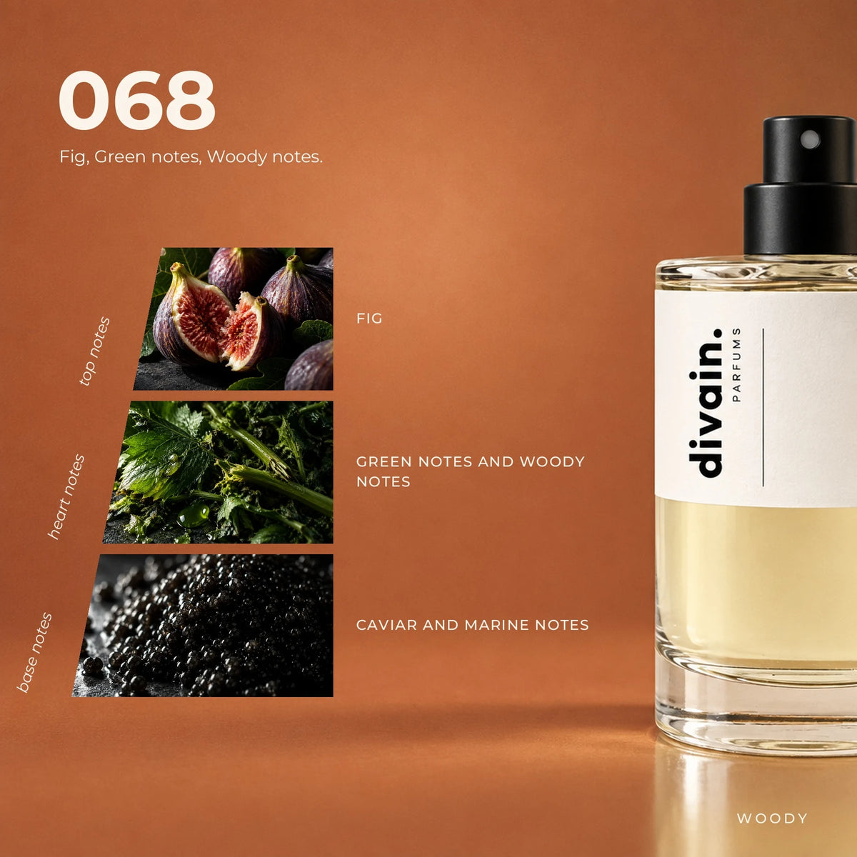 divain.068 fragrance pyramid