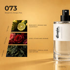 divain.073 fragrance pyramid