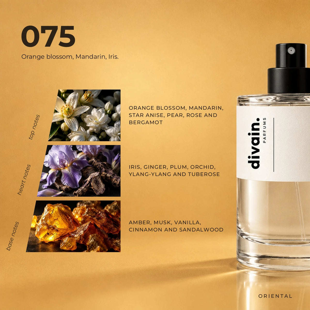 divain.075 fragrance pyramid