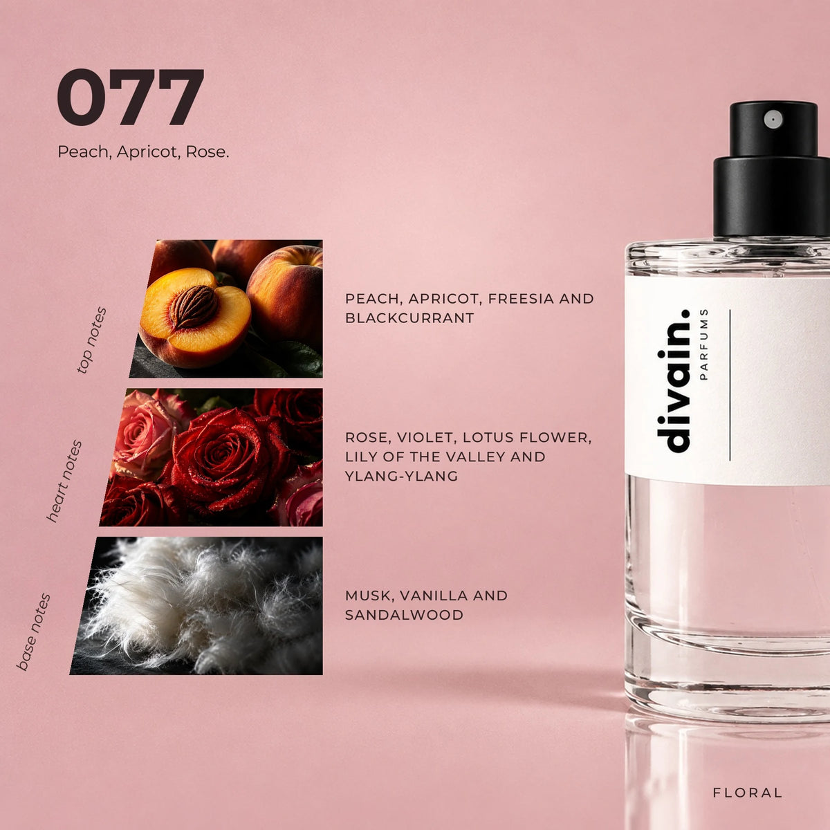 divain.077 fragrance pyramid