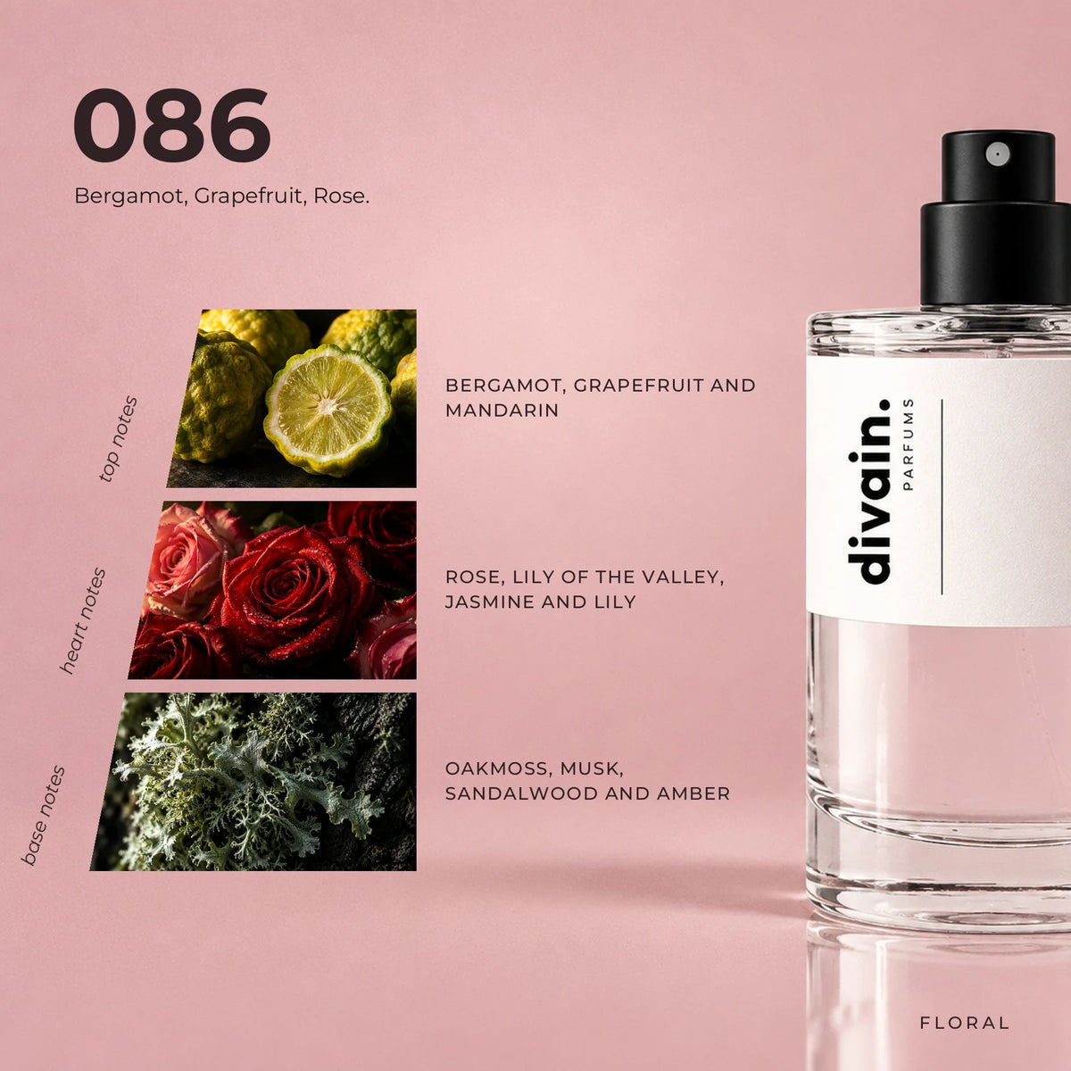 divain.086 fragrance pyramid