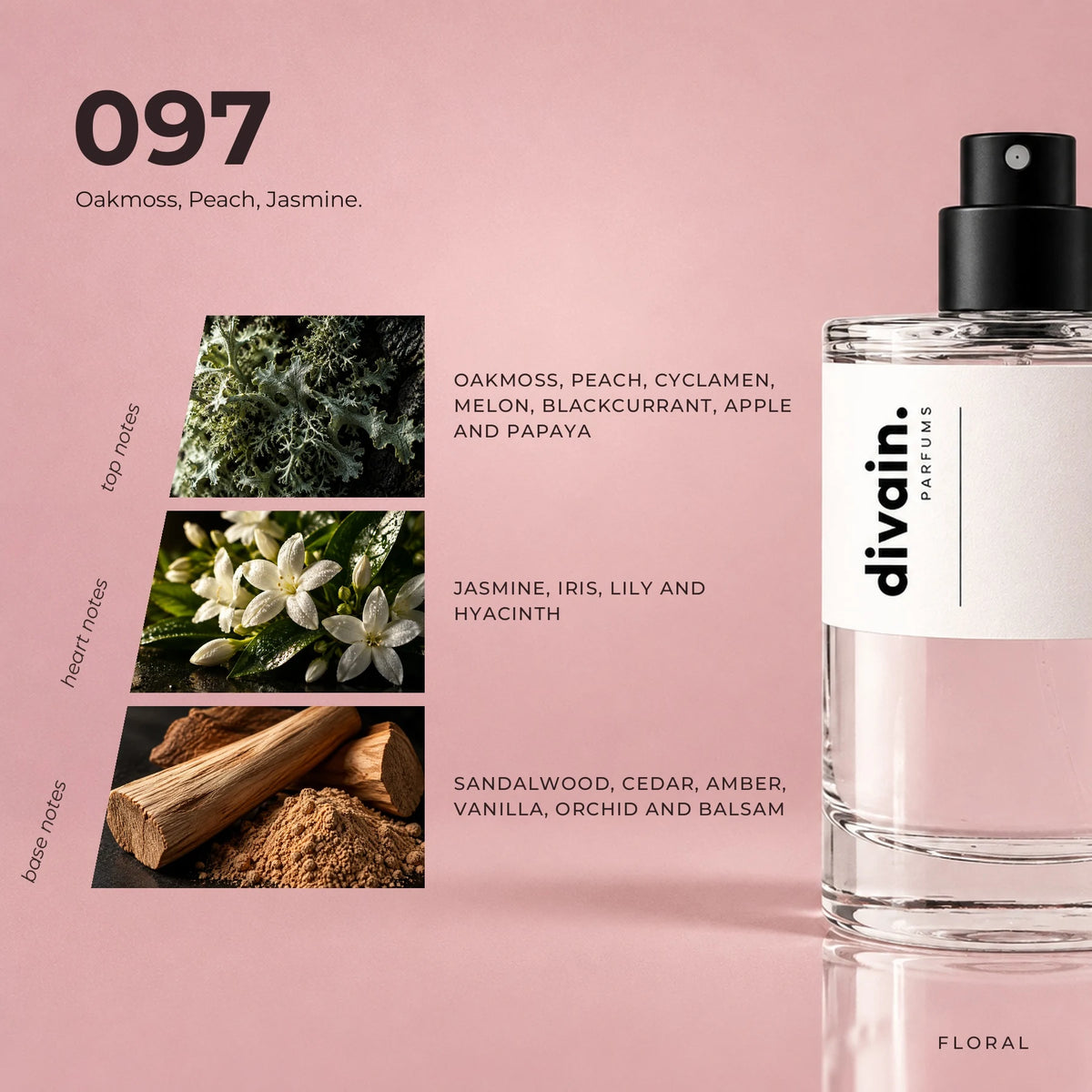 divain.097 fragrance pyramid