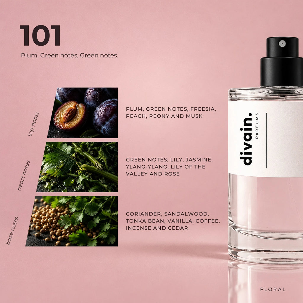 divain.101 fragrance pyramid