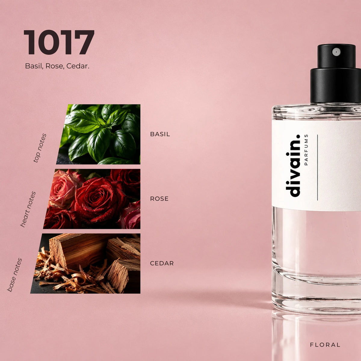 divain.1017 fragrance pyramid