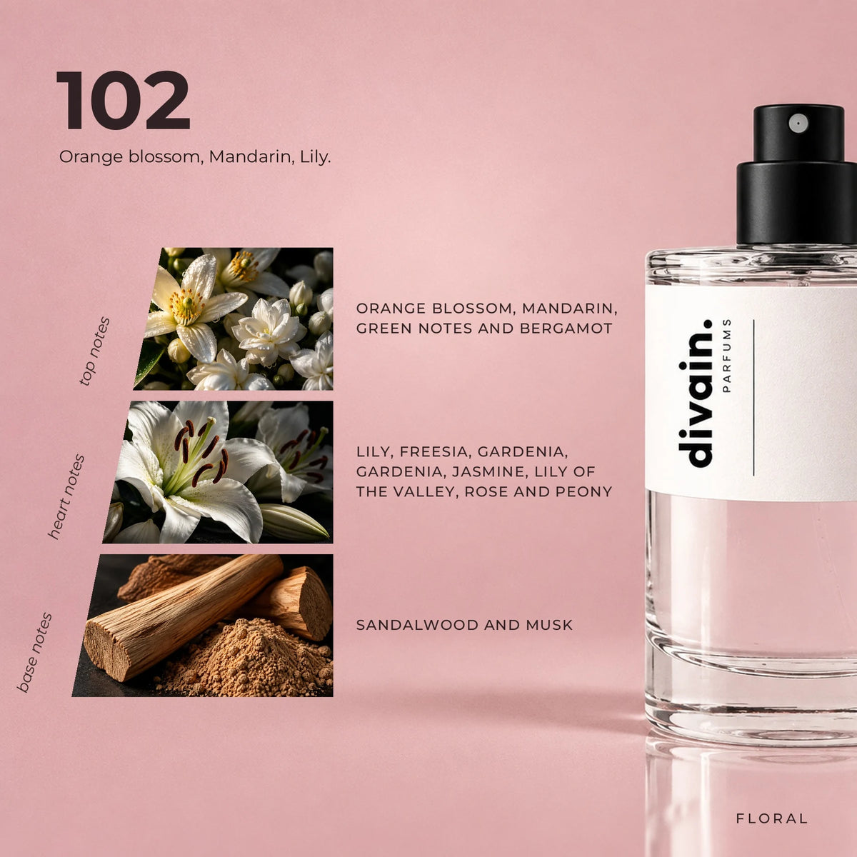 divain.102 fragrance pyramid