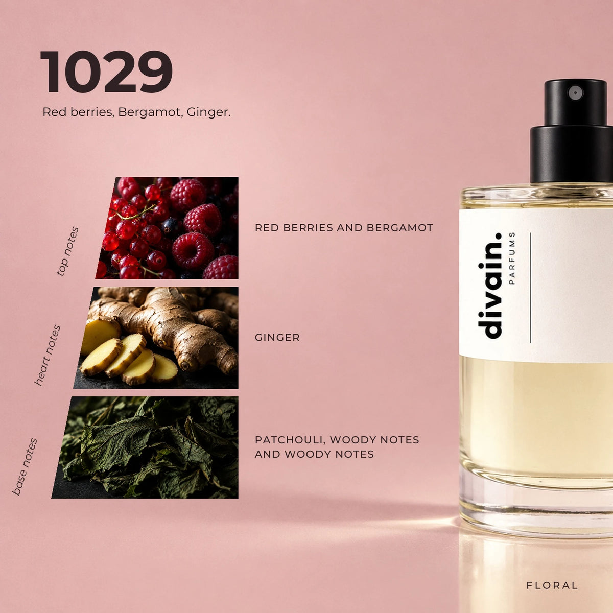 divain.1029 fragrance pyramid