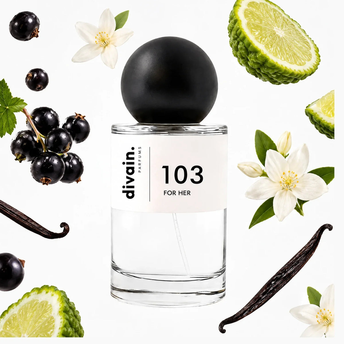 divain-103 notas