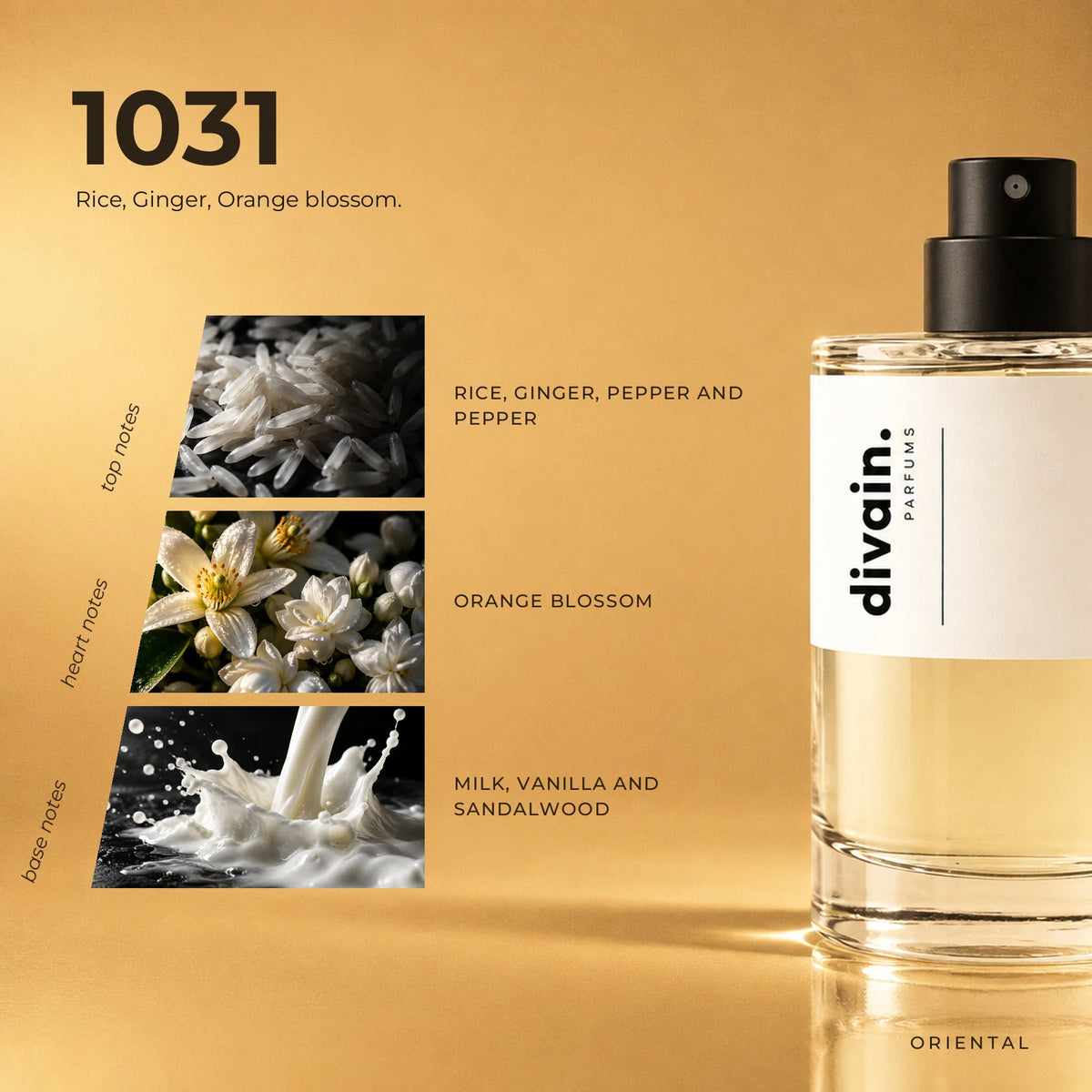 divain.1031 fragrance pyramid