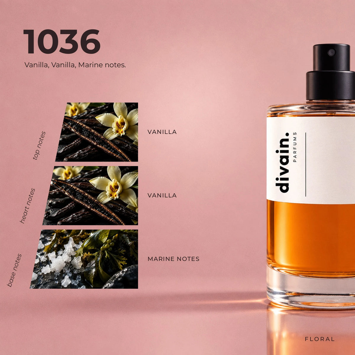 divain.1036 fragrance pyramid
