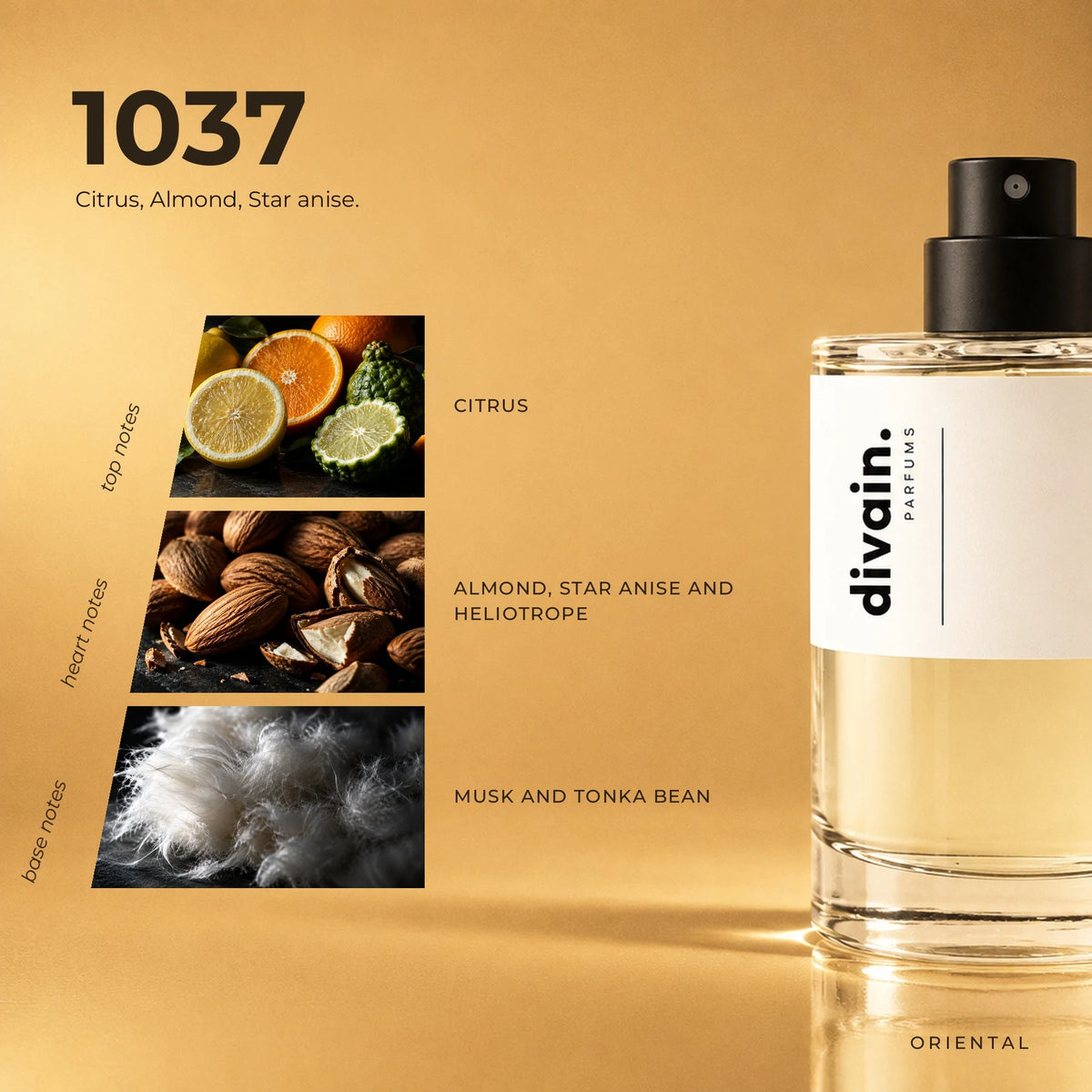 divain.1037 fragrance pyramid