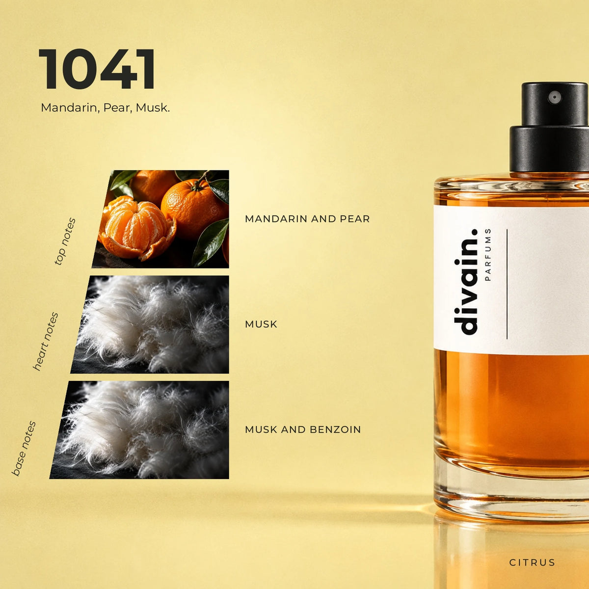 divain.1041 fragrance pyramid