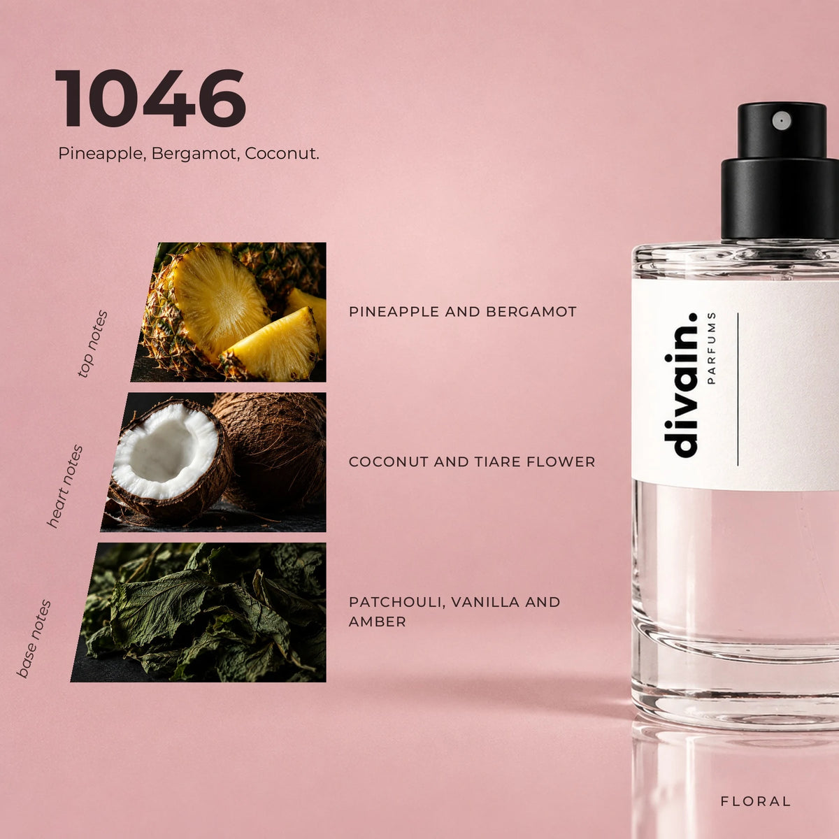 divain.1046 fragrance pyramid