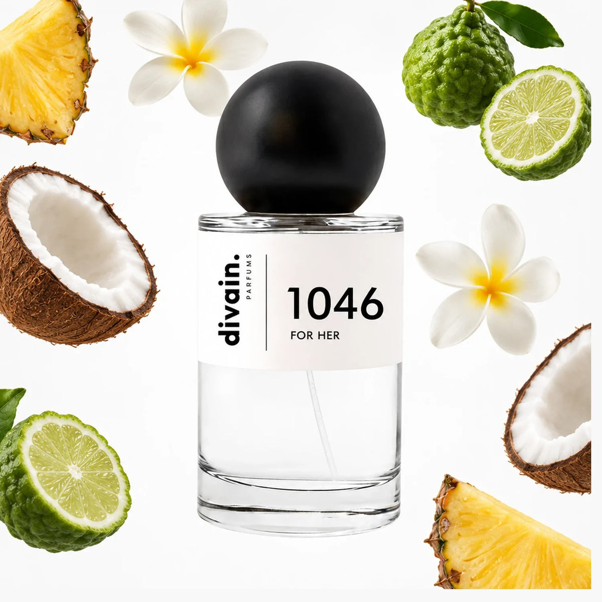divain-1046 notas