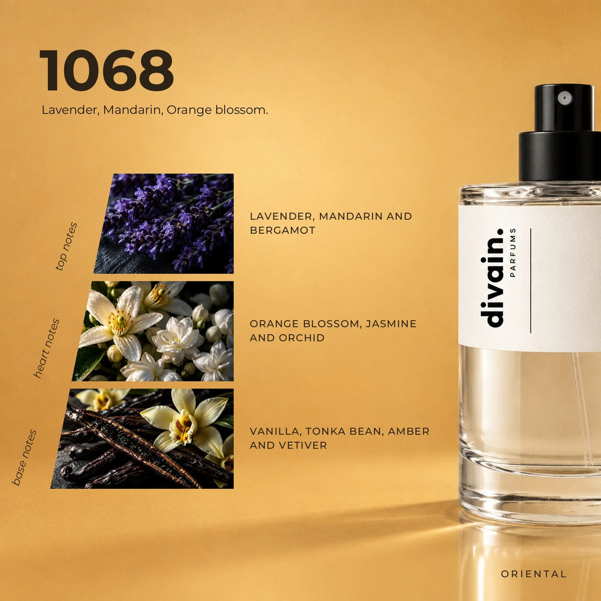 divain.1068 fragrance pyramid
