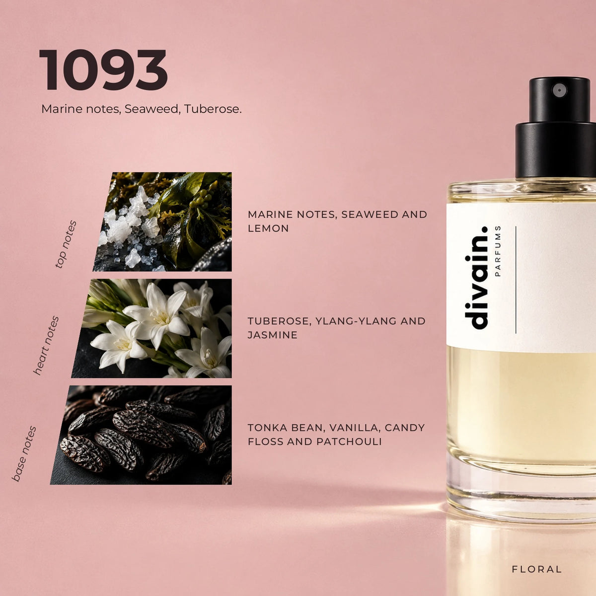 divain.1093 fragrance pyramid