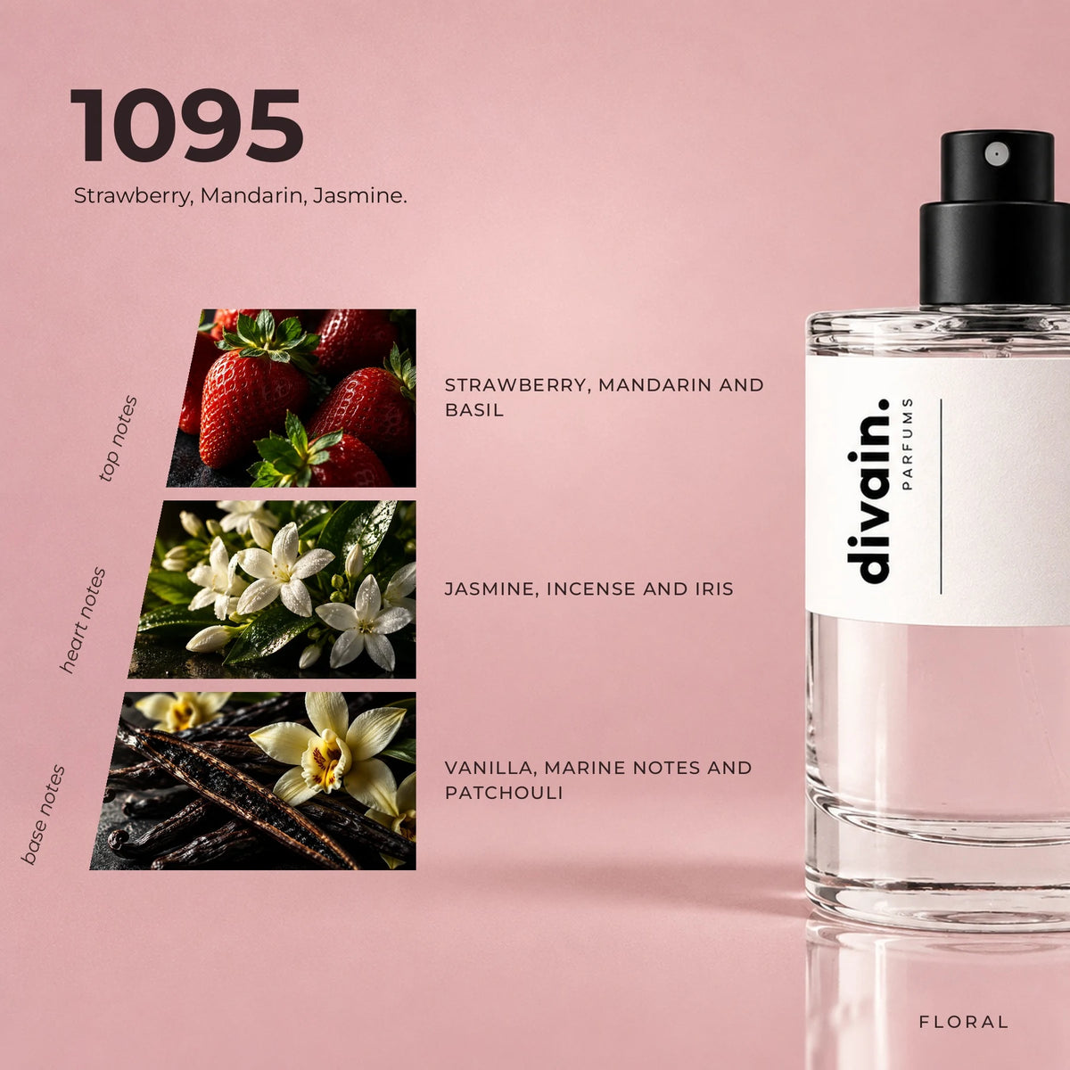 divain.1095 fragrance pyramid