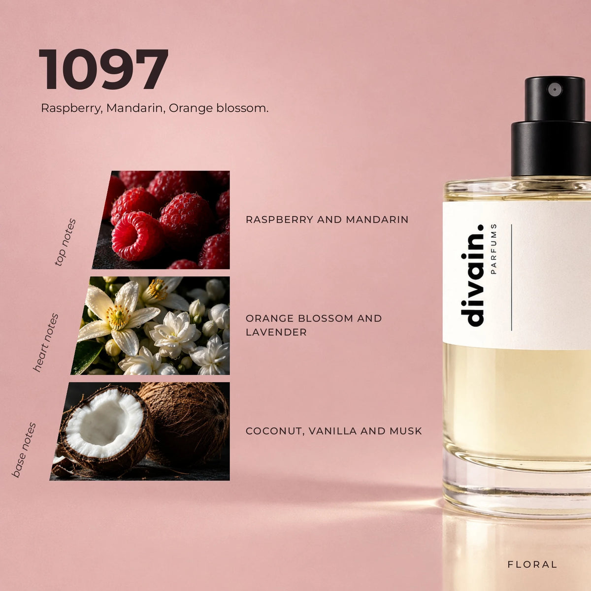 divain.1097 fragrance pyramid