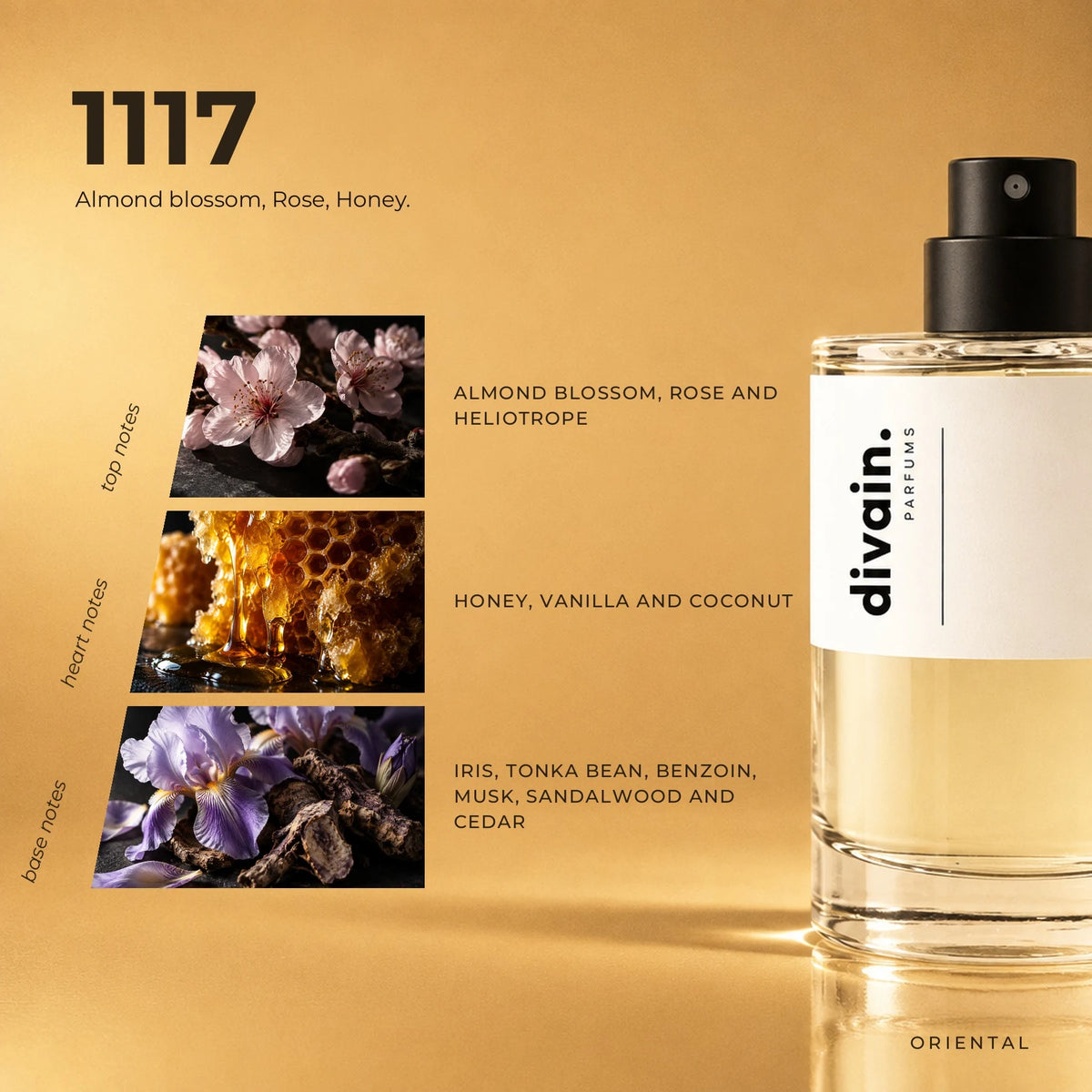 divain.1117 fragrance pyramid