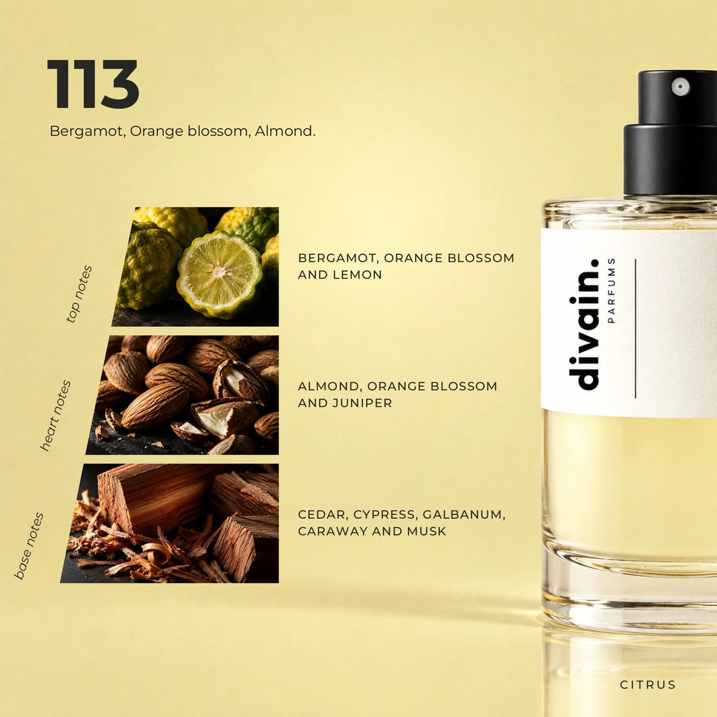 divain.113 fragrance pyramid