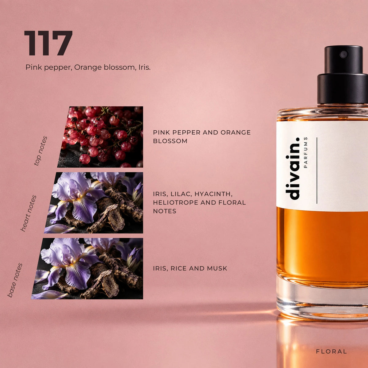 divain.117 fragrance pyramid