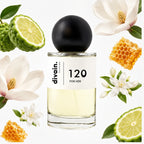 divain-120 notas
