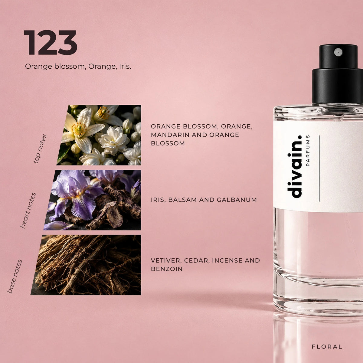 divain.123 fragrance pyramid