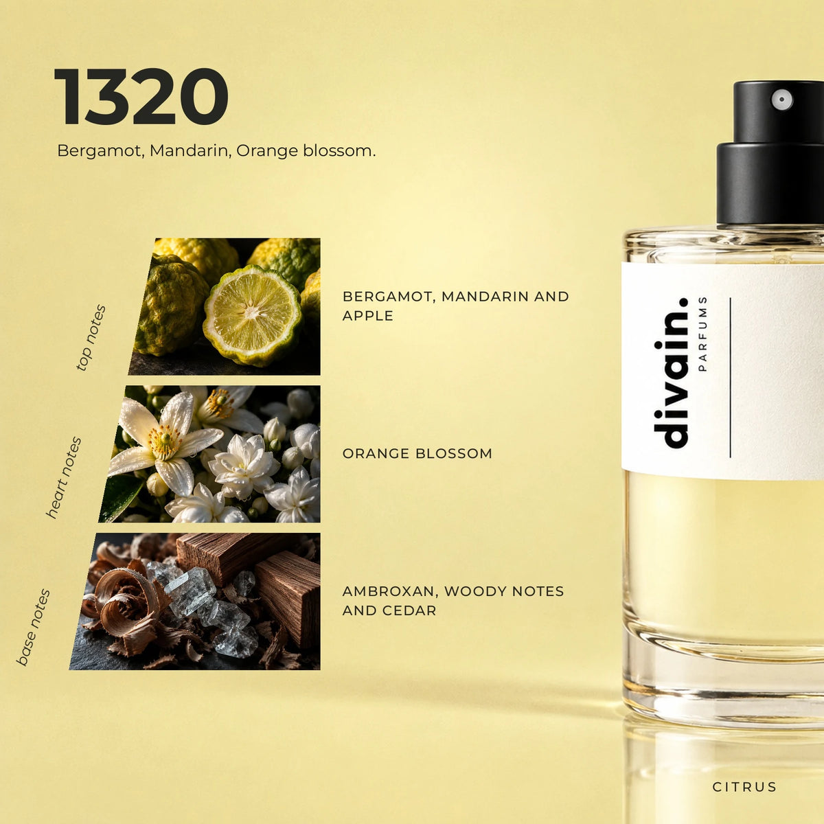 divain.1320 fragrance pyramid
